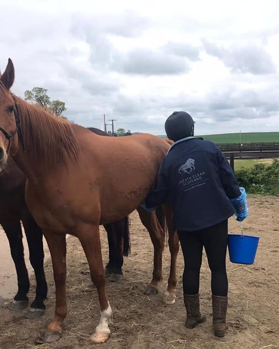 Cycle rebooking: horses due this cycle