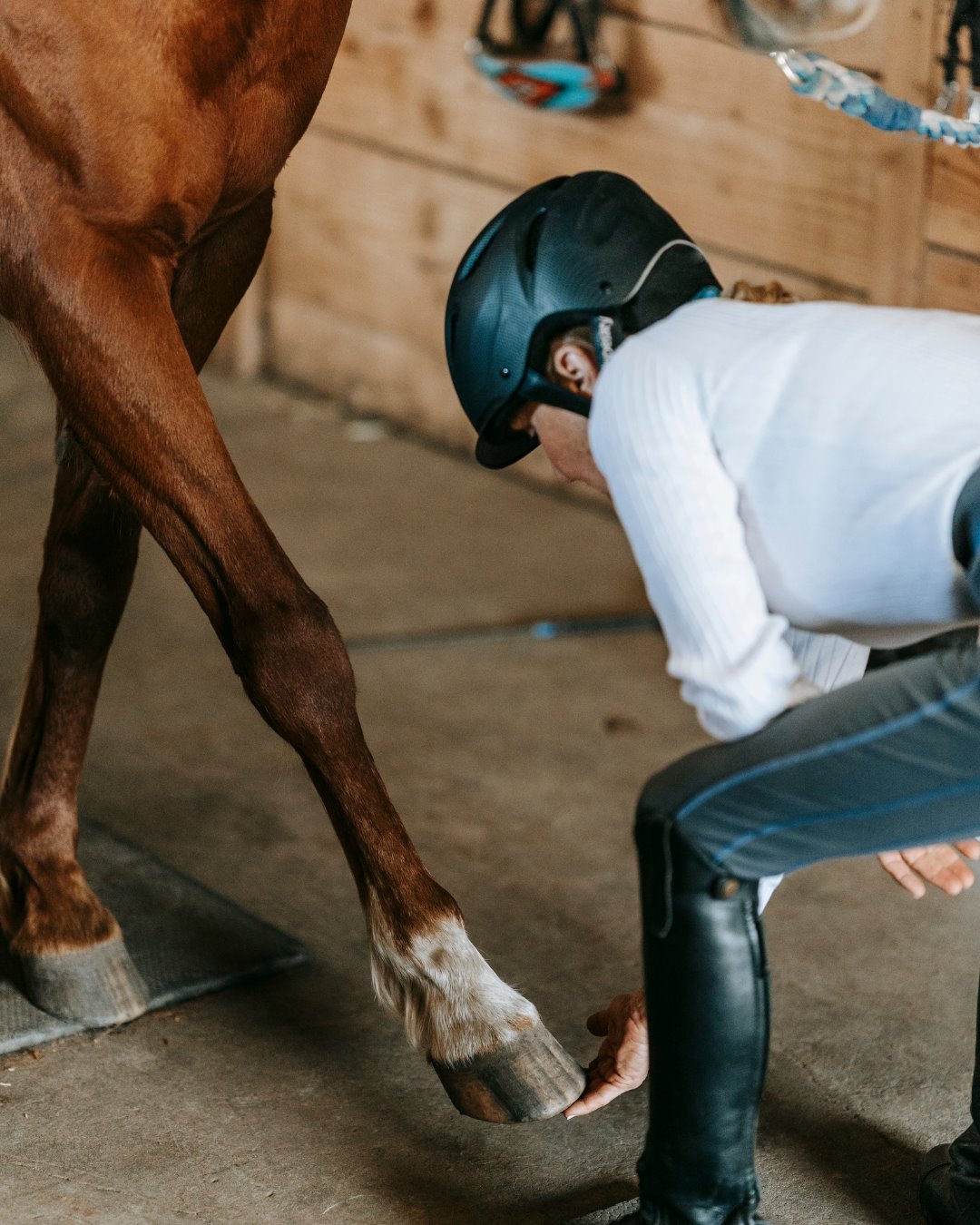 Physio — a mobile equestrian pro at work
